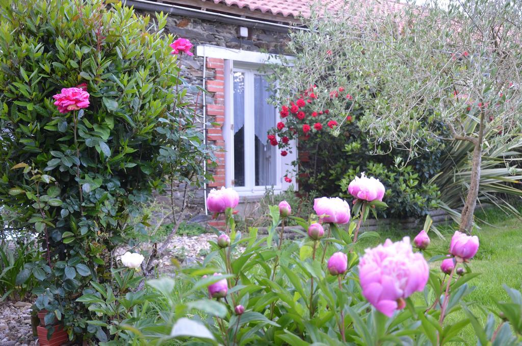 Bed and Breakfast L'Arbre d'Alaïs à Saint-Fulgent Extérieur photo